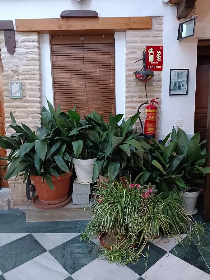 Apartment Apartamento Patio De Los Leones Granada Spain